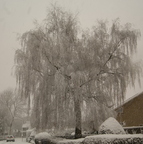 Sneeuw in Heeswijk